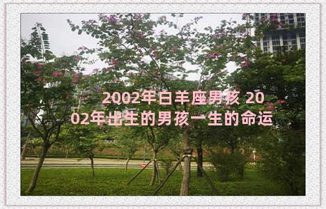 2002年白羊座男孩 2002年出生的男孩一生的命运